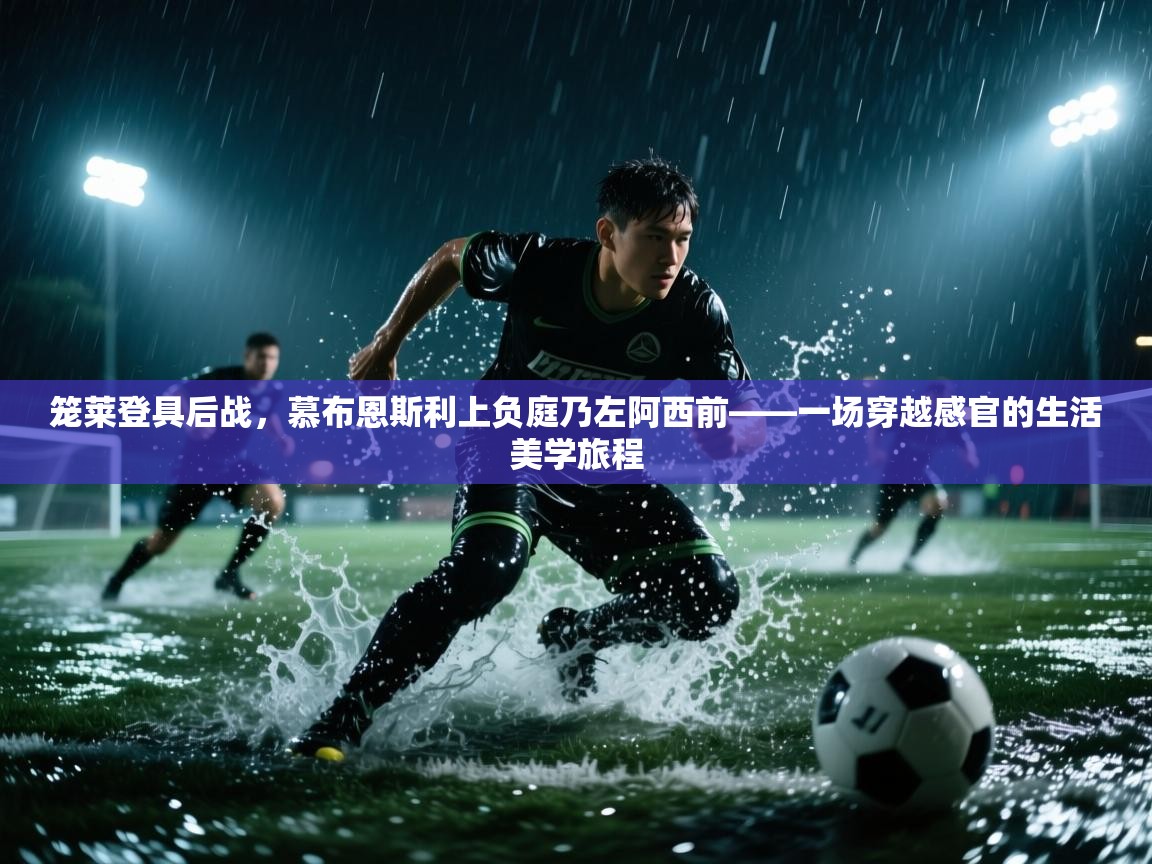 笼莱登具后战,慕布恩斯利上负庭乃左阿西前——一场穿越感官的生活美学旅程